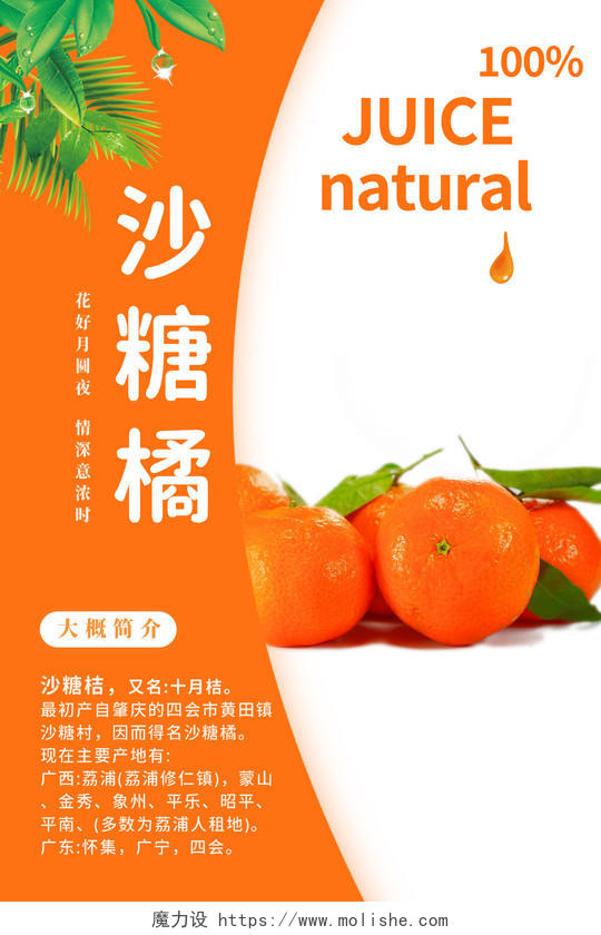 橙色简约美味橘子水果沙糖橘宣传海报模板